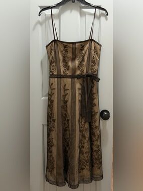 BCBGMaxAzria Chocolate Brown Lace Mesh Floral Corset Strapless Dress Size 6